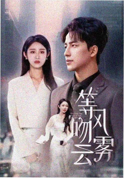 电视剧换命律师封面